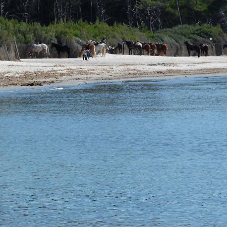 Affittacamere A Due Passi Dal Mare Marina di Cecina Eksteriør billede