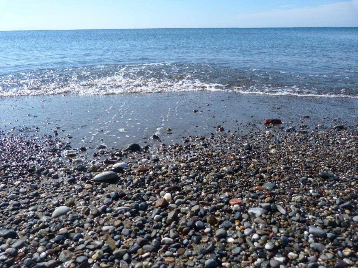 Affittacamere A Due Passi Dal Mare Marina di Cecina Eksteriør billede