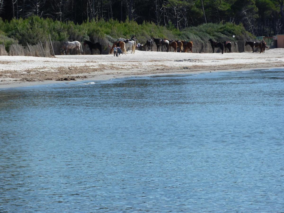 Affittacamere A Due Passi Dal Mare Marina di Cecina Eksteriør billede